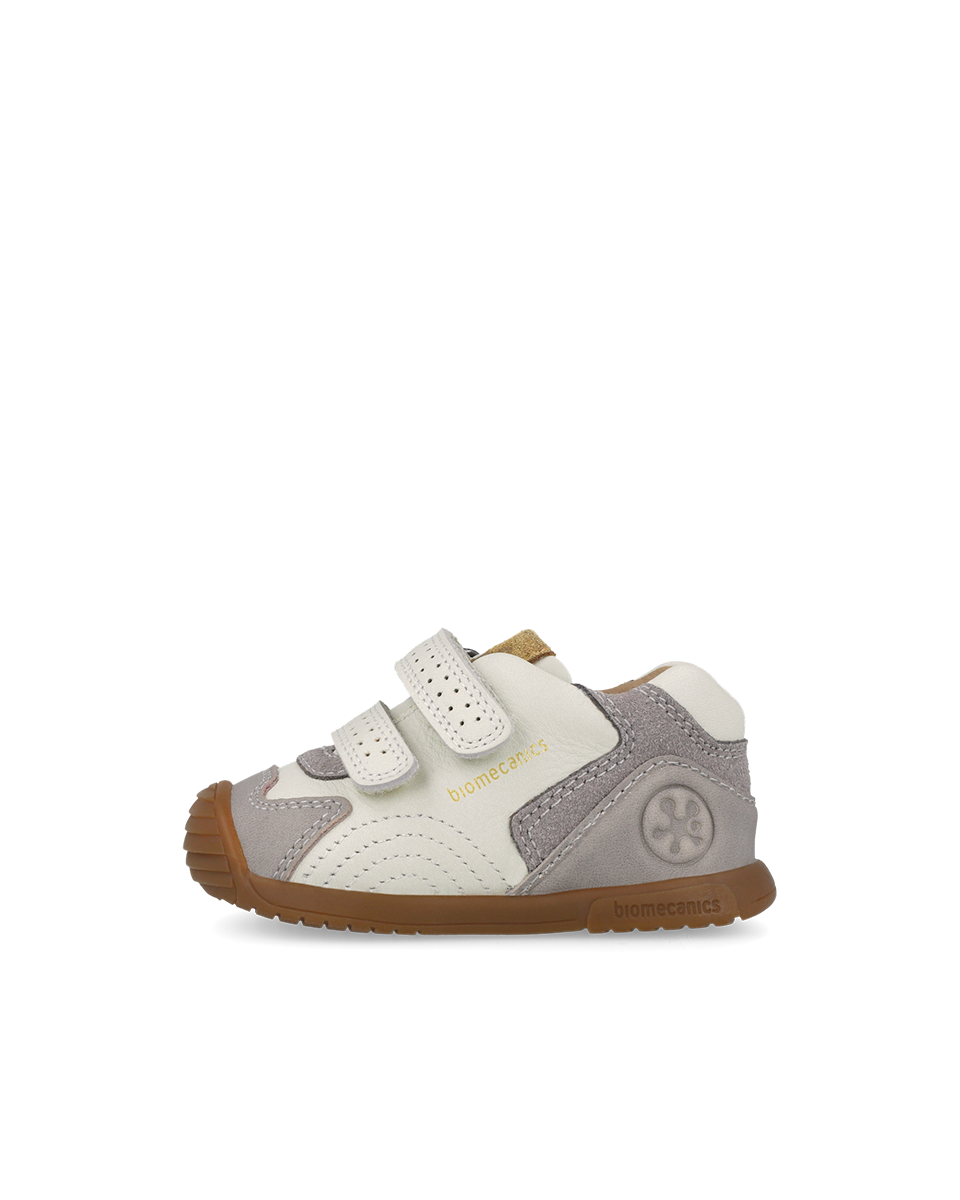 Biogateo Fog