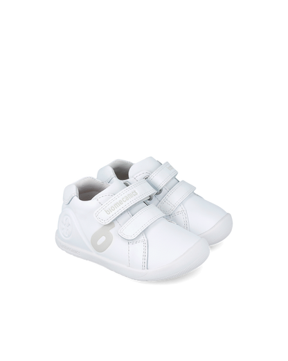 Biogateo Ivory *Wide*