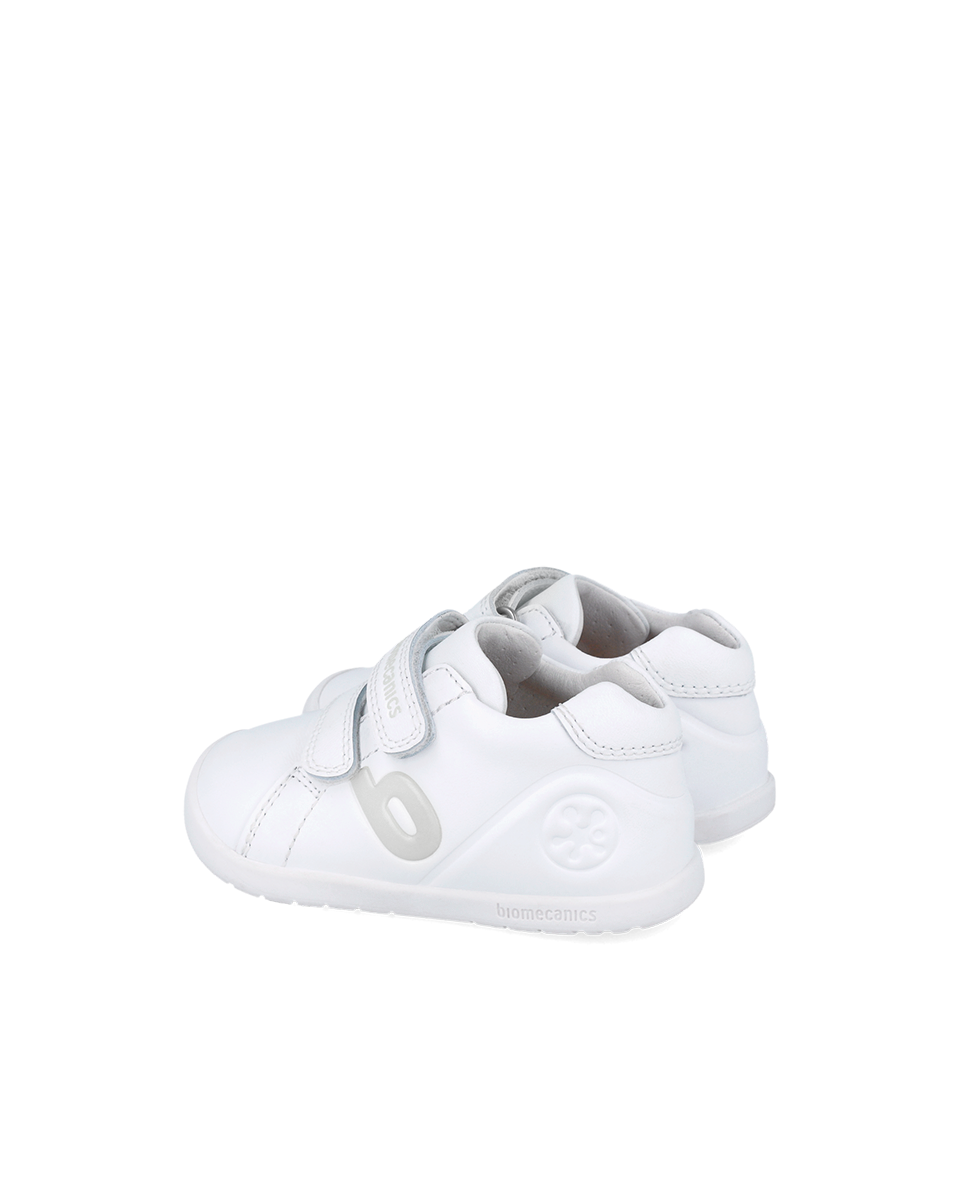 Biogateo Ivory *Wide*