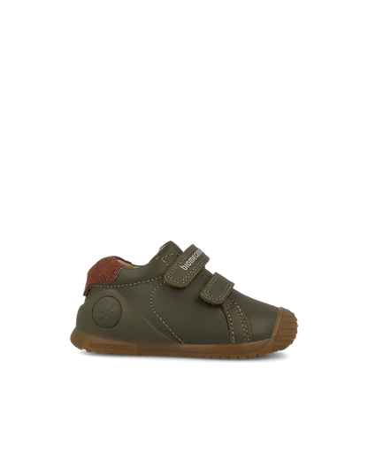Biogateo Olive