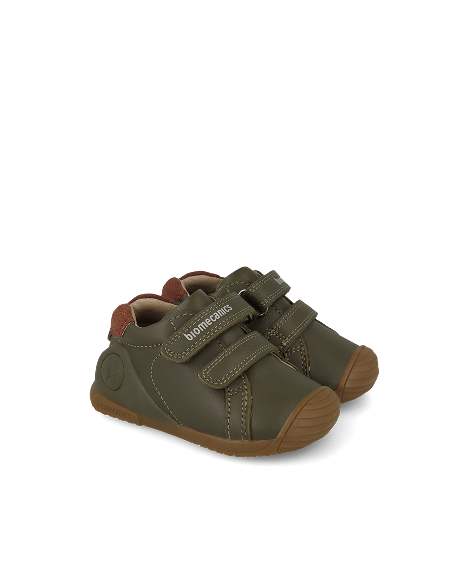 Biogateo Olive