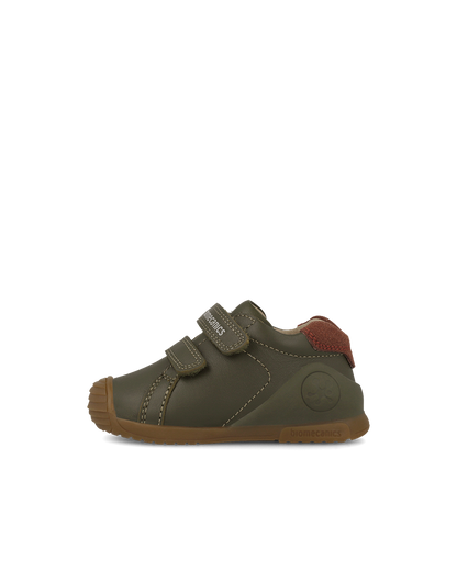 Biogateo Olive