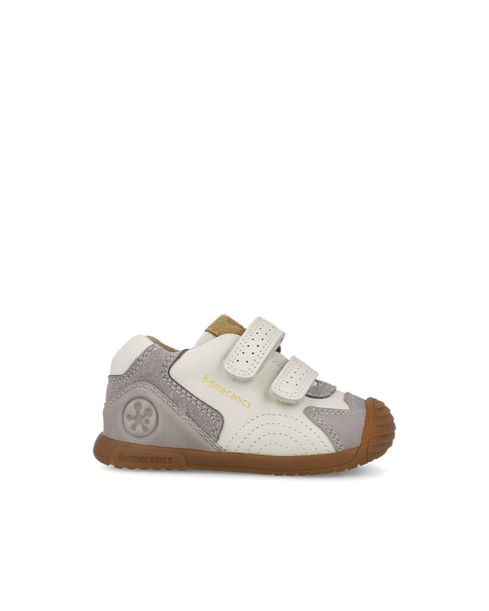 Biogateo Fog