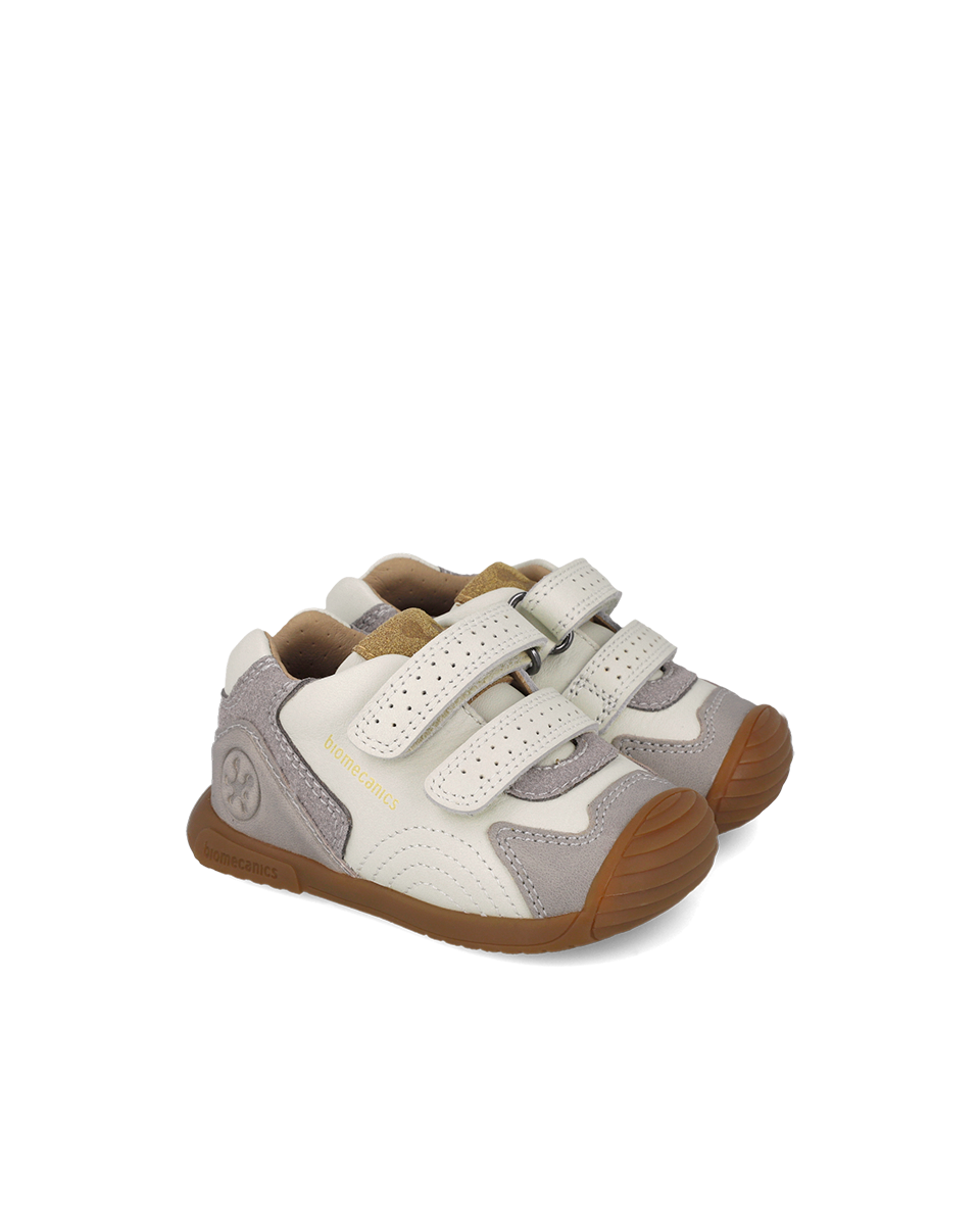 Biogateo Fog