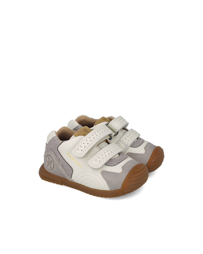 Biogateo Fog
