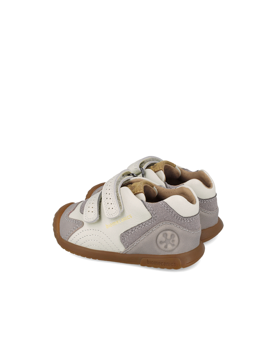 Biogateo Fog