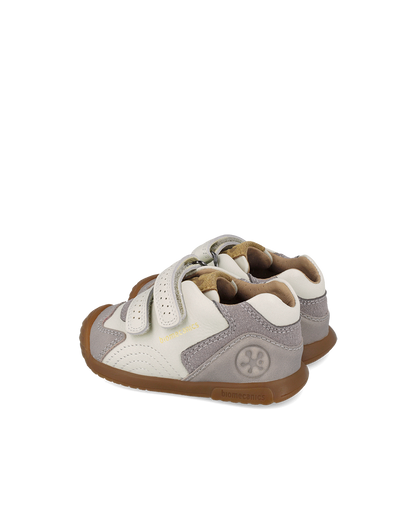 Biogateo Fog