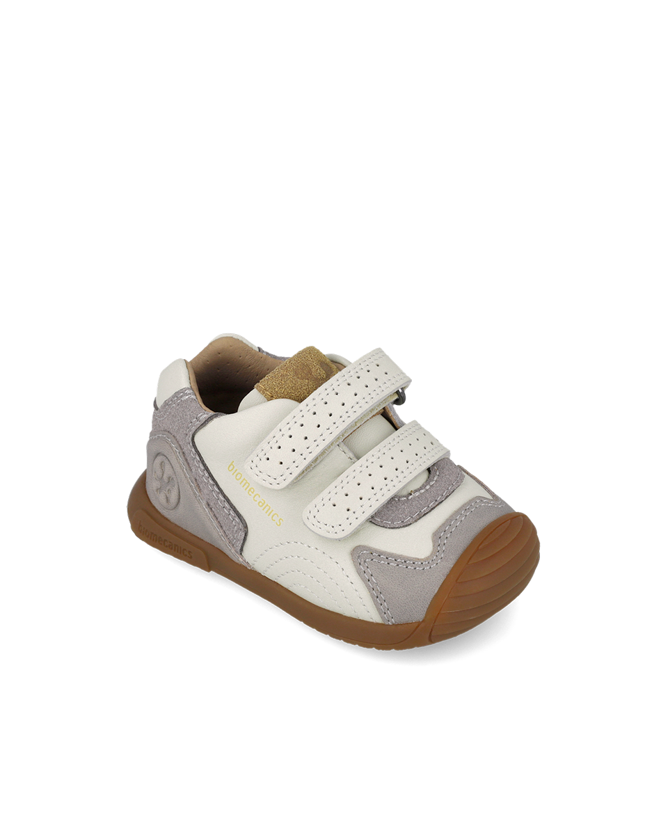 Biogateo Fog