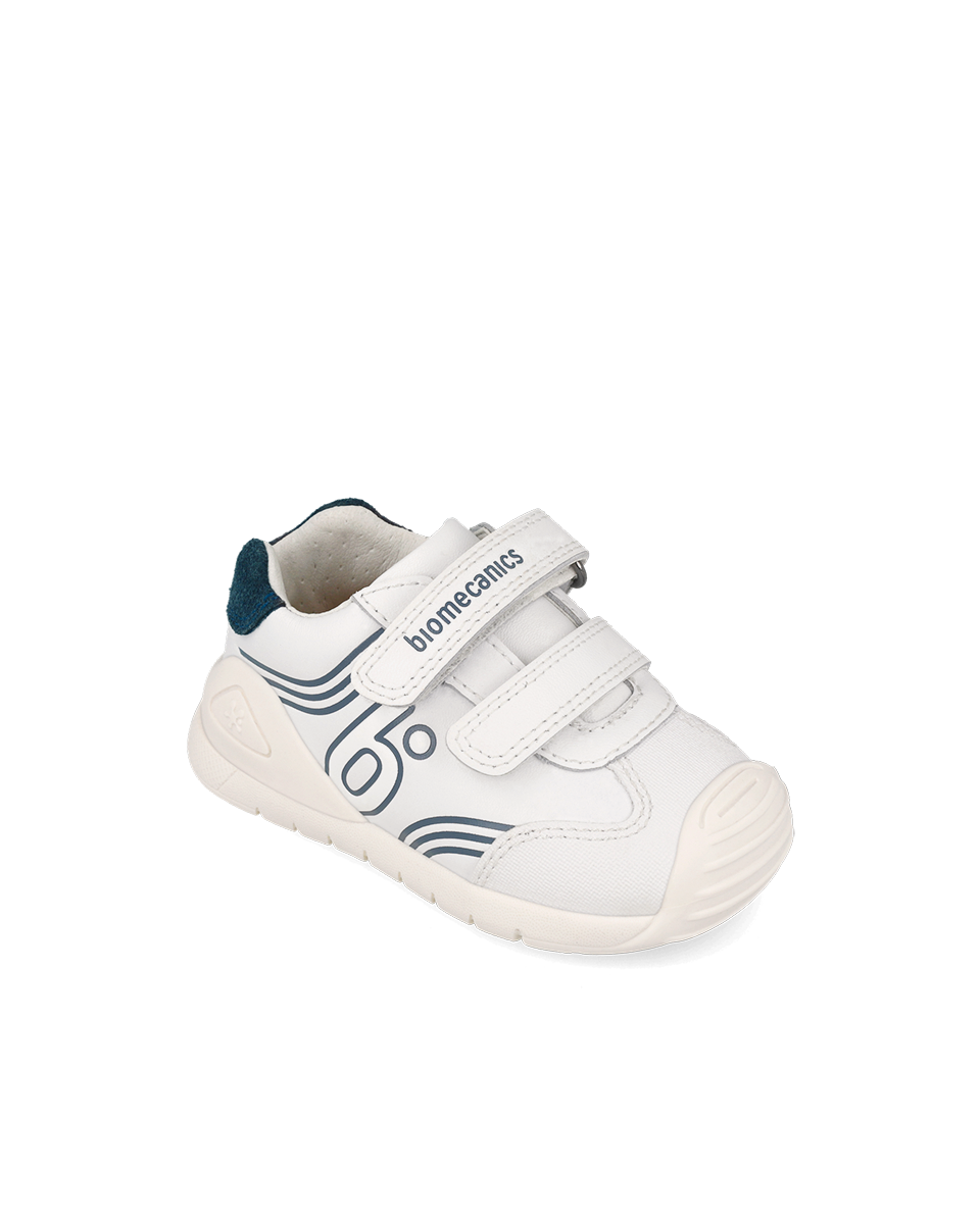Biogateo Sailboat