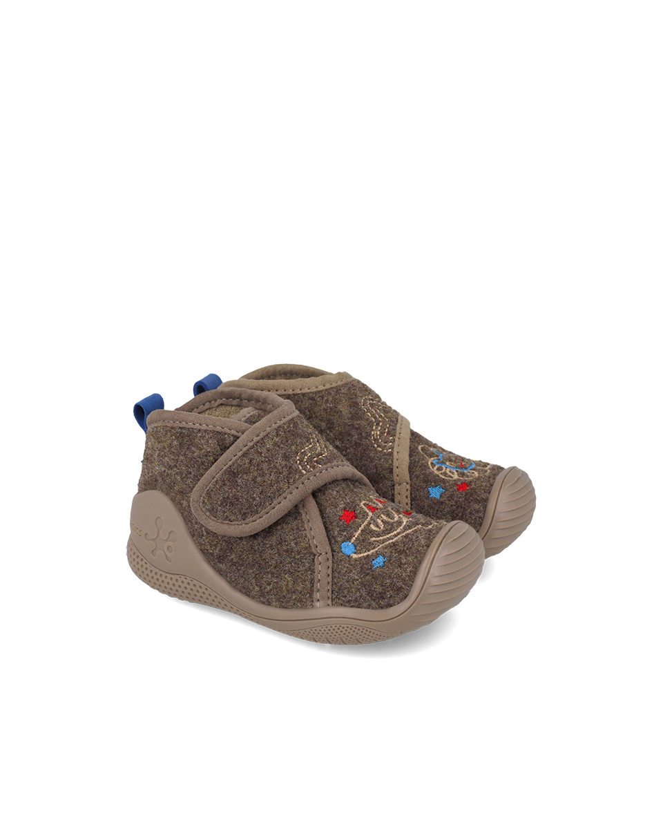 Biohome Comet