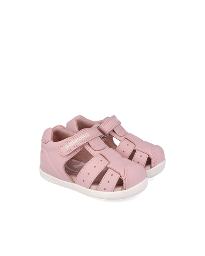 Biogateo Large Rose