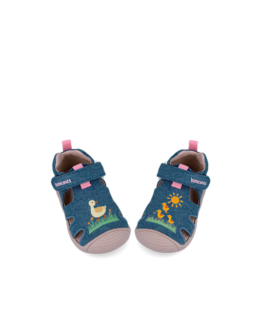 Biogateo Canards Bleus
