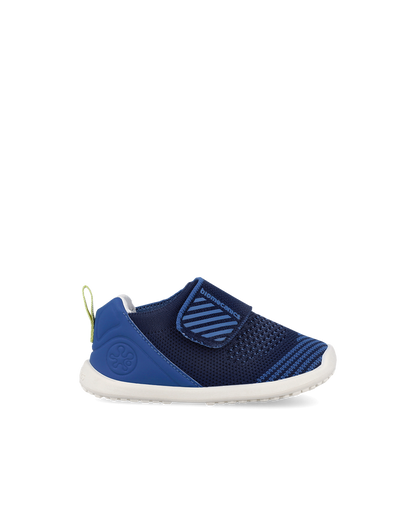 Biohome Cobalt