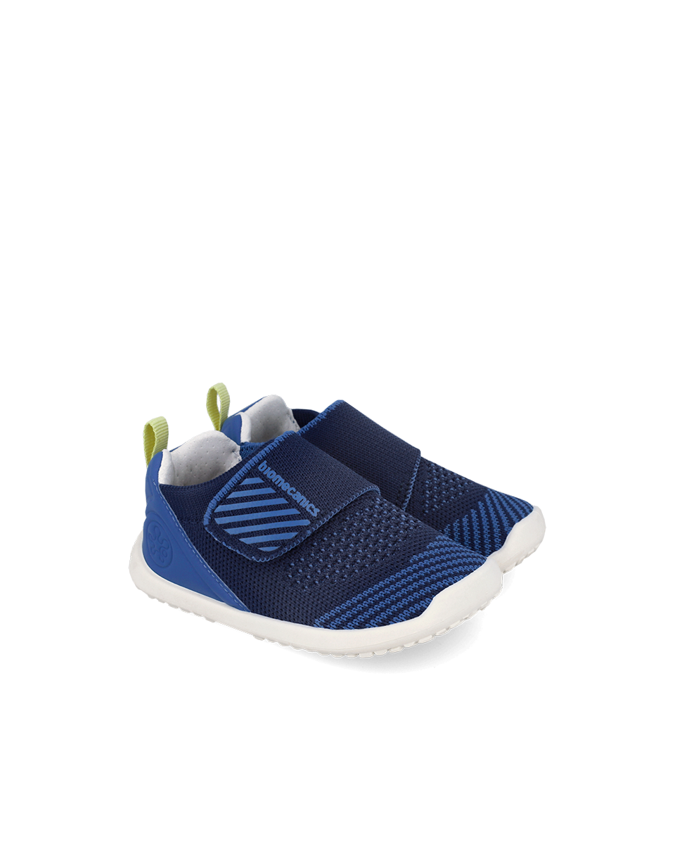 Biohome Cobalt