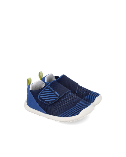 Biohome Cobalt