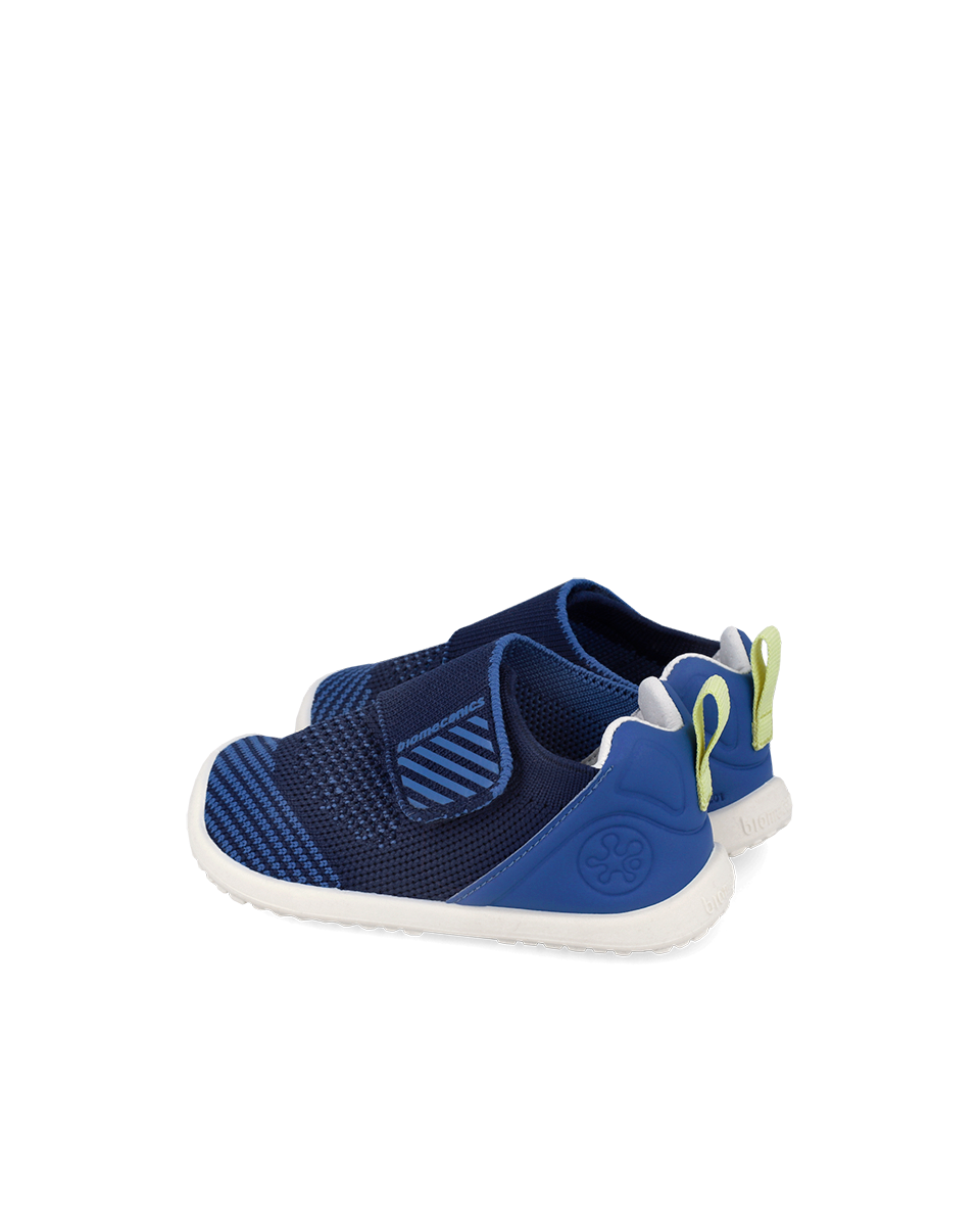 Biohome Cobalt