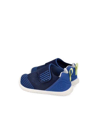 Biohome Cobalt