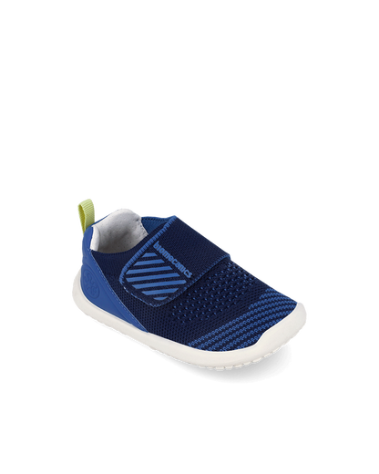 Biohome Cobalt